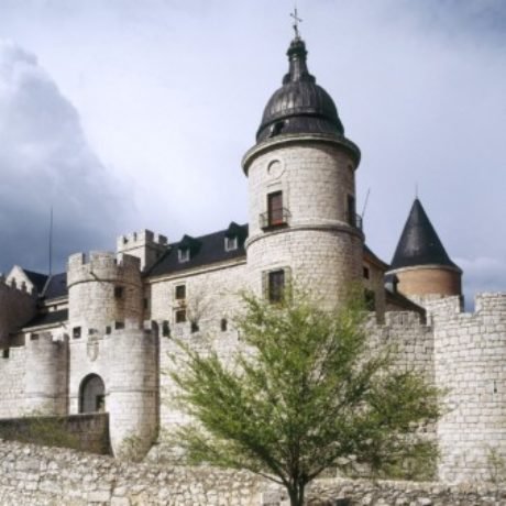 Profile picture of JOEL JOHN VARGHESE